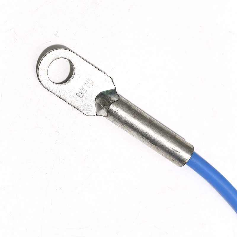 Ds18B20 - DS18B20 Speciaal Voor Oppervlaktetemperatuursensor Sonde 8mm