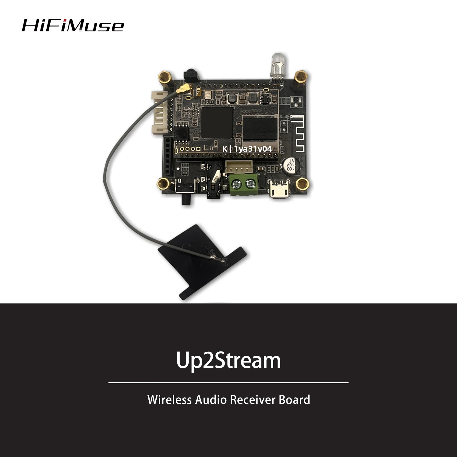Microphone Module - D10 WiFi en Bluetooth 5.0 Audio-ontvangst