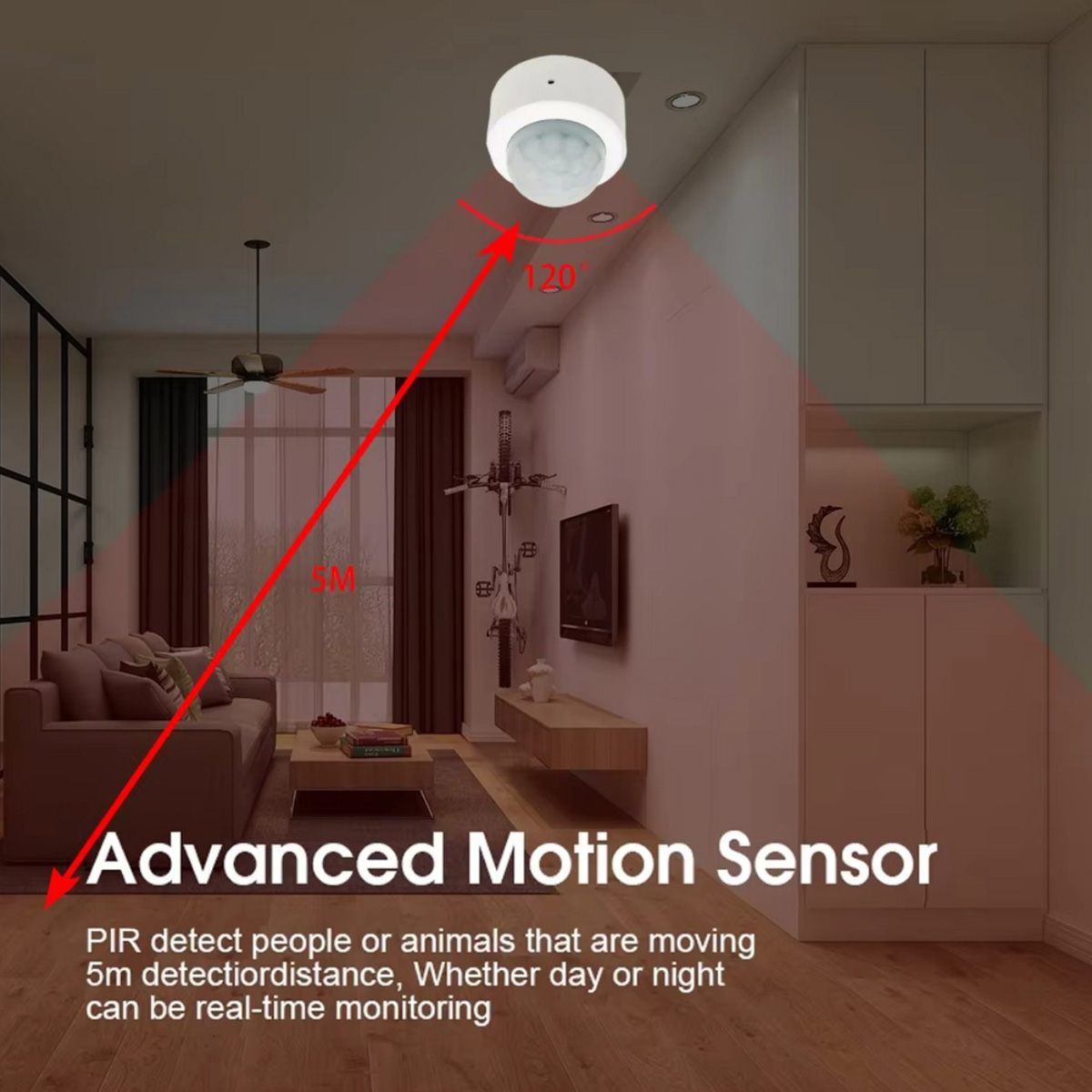 Zigbee3.0 Mini PIR Menselijke  - Pir Motion Sensor recensie en prijs
